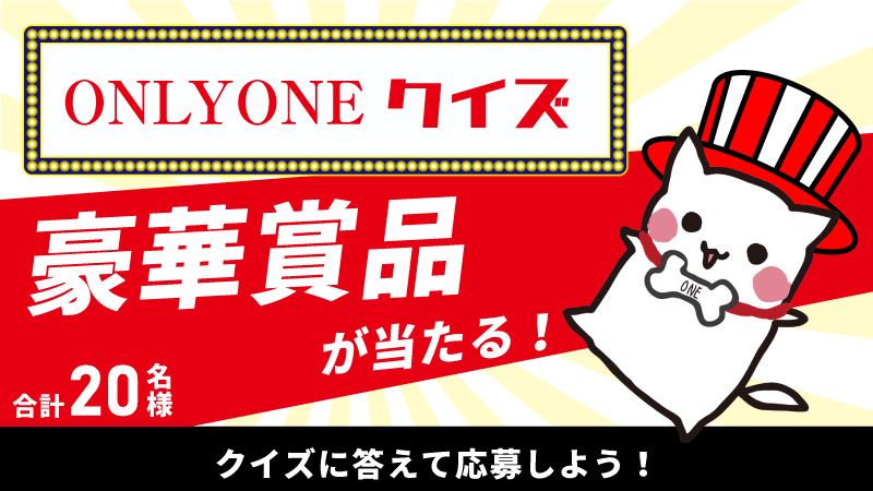 ベイトオンリー　大阪市内引き取り限定でお願い致します ベイトオンリー 大阪市内引き取り限定でお願い致します ベイトオンリー
